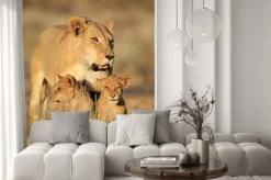 Naklejka: Lwica z młodymi młode lew (panthera leo) w świetle wczesnego