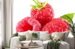 Naklejka: Malin samodzielnie na białym tle