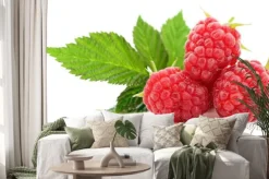 Naklejka: Maliny i liście.