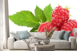 Naklejka: Maliny i liście.