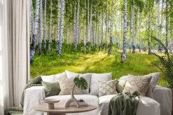 Naklejka: Malowniczy brzozowy gaj nad brzegiem rzeki