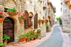 Naklejka: Malowniczy pas z kwiatami we włoskim wzgórzu miasta