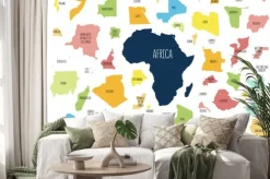 Naklejka: Map of africa with separated countries.