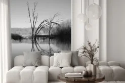 Naklejka: Martwe drzewa w środku jeziora. monochrome