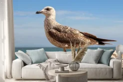 Naklejka: Mewa na klifie w cascais, portugalia