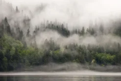Naklejka: Mglisty pejzaż jeziora otoczonego lasem