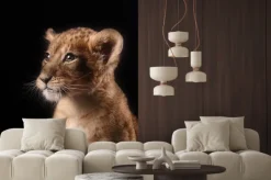 Naklejka: Młody lew na czarnym tle