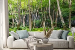 Naklejka: Moss garden view w arashiyama, kioto