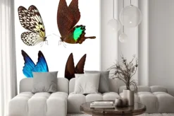 Naklejka: Motyl makro w tle