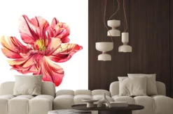 Naklejka: Na białym tle akwarela różowy tulipan na białym tle