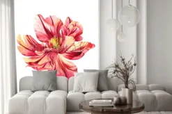 Naklejka: Na białym tle akwarela różowy tulipan na białym tle