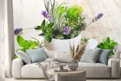 Naklejka: Naturalne świeże zioła bazylia i lawenda