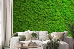 Naklejka: Naturalny zielony mech leśny