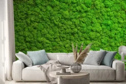 Naklejka: Naturalny zielony mech leśny