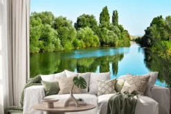 Naklejka: Nehir suları ve ağaçların yansıması