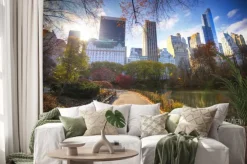 Naklejka: New york city manhattan central park