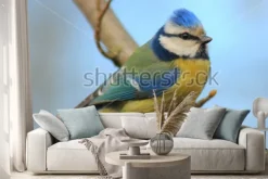 Naklejka: Niebieski cycek na gałęzi przodu piękne tło