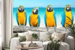 Naklejka: Niebieski i gold ara na tropikalnej pięknej plaży i morza