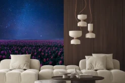 Naklejka: Nocny krajobraz z tulipanami i gwiazd