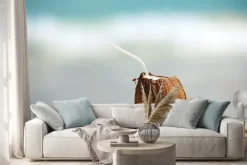 Naklejka: Orzech kokosowy