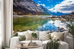 Naklejka: Osadzony na mieliźnie wskutek odpływu medicine lake w upadku