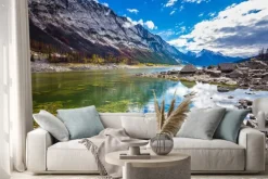 Naklejka: Osadzony na mieliźnie wskutek odpływu medicine lake w upadku