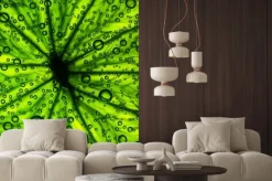 Naklejka: Owoce cytrusowe zamknąć z pęcherzyków