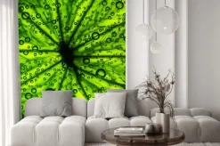 Naklejka: Owoce cytrusowe zamknąć z pęcherzyków