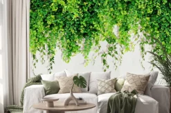 Naklejka: Ozdobne zielone pnącza zwisające z góry