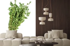 Naklejka: Paczki z tymianku