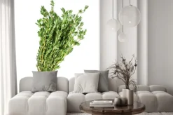 Naklejka: Paczki z tymianku