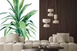 Naklejka: Palm tree, dracaena on isolated white background, watercolor