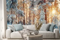 Naklejka: Panorama zimowego lasu w słońcu