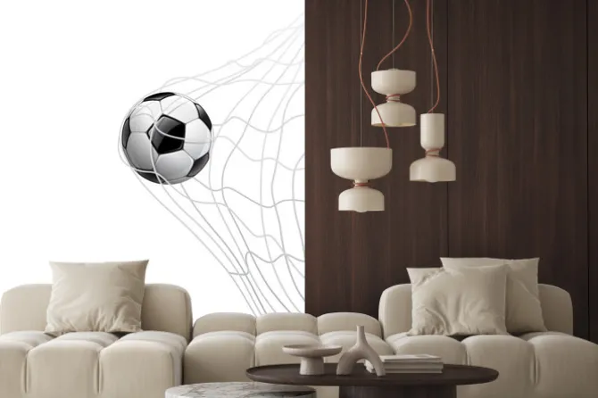 Naklejka: Piłka w siatce na białym tle