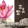 Naklejka: Pink lotus flower on an isolated white background, watercolor