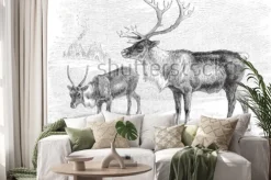 Naklejka: Reindeer (rangifer tarandus) / vintage illustration from meyers