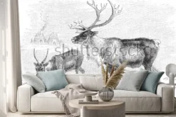 Naklejka: Reindeer (rangifer tarandus) / vintage illustration from meyers