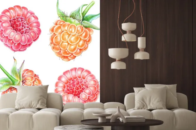 Naklejka: Set of watercolor raspberries on white background