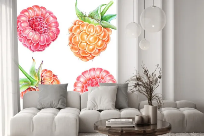 Naklejka: Set of watercolor raspberries on white background