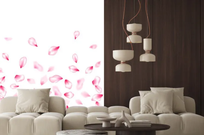 Naklejka: Spring blossom isolated petals flying