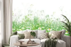 Naklejka: Wektor kwitnących kwiatów pola, natura granicy samodzielnie.