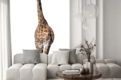 Naklejka: Żyrafa samodzielnie na białym tle