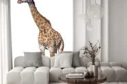 Naklejka: Żyrafa samodzielnie na białym tle