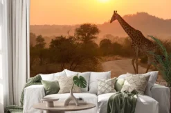 Naklejka: Żyrafa w parku narodowym krugera sunrise