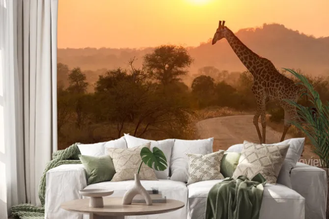 Naklejka: Żyrafa w parku narodowym krugera sunrise