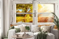 Naklejka: Zabytkowe drewniane okna overlook jesienne drzewa