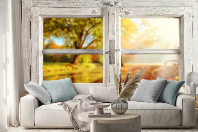 Naklejka: Zabytkowe drewniane okna overlook jesienne drzewa