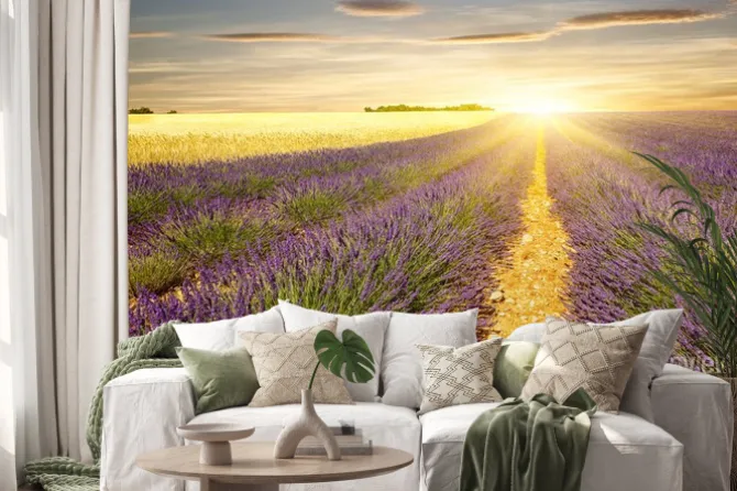 Naklejka: Zachód słońca nad polami lawendy i pszenicy