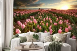 Naklejka: Zachód słońca nad różowym polu tulipanów
