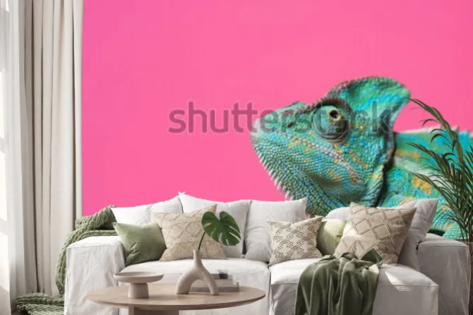 Naklejka: Zbliżenie ładny kolorowy egzotyczny kameleon na różowo